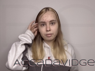 Accadavidge