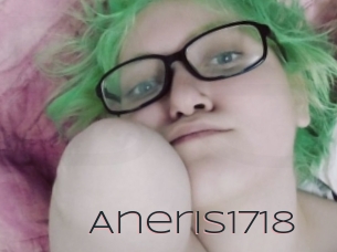 Aneris1718