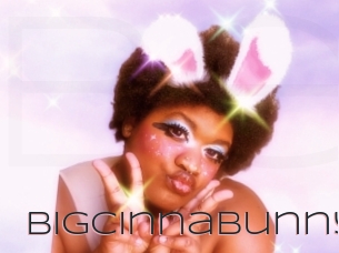 Bigcinnabunny