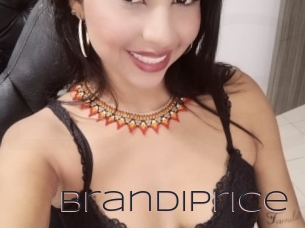 Brandiprice