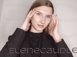 Elenecaudle