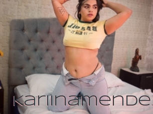 Kariinamendez