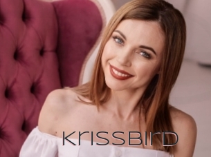 Krissbird