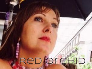 Red_Orchid