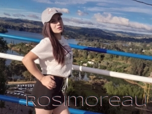 Rosimoreau