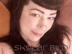 Skylar_bird