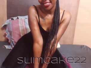 Slimcake22